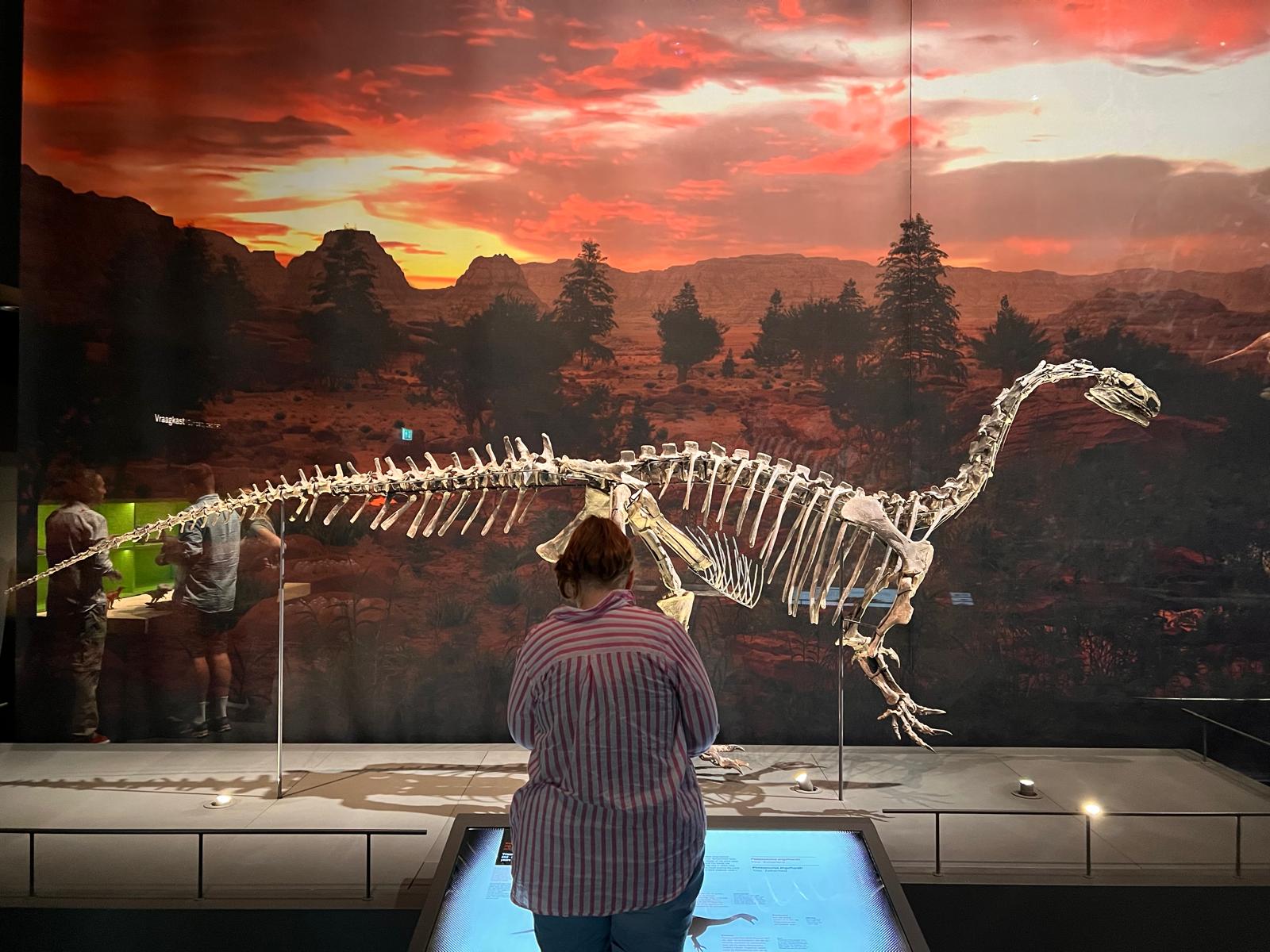 Foto bij review van Naturalis Biodiversity Center