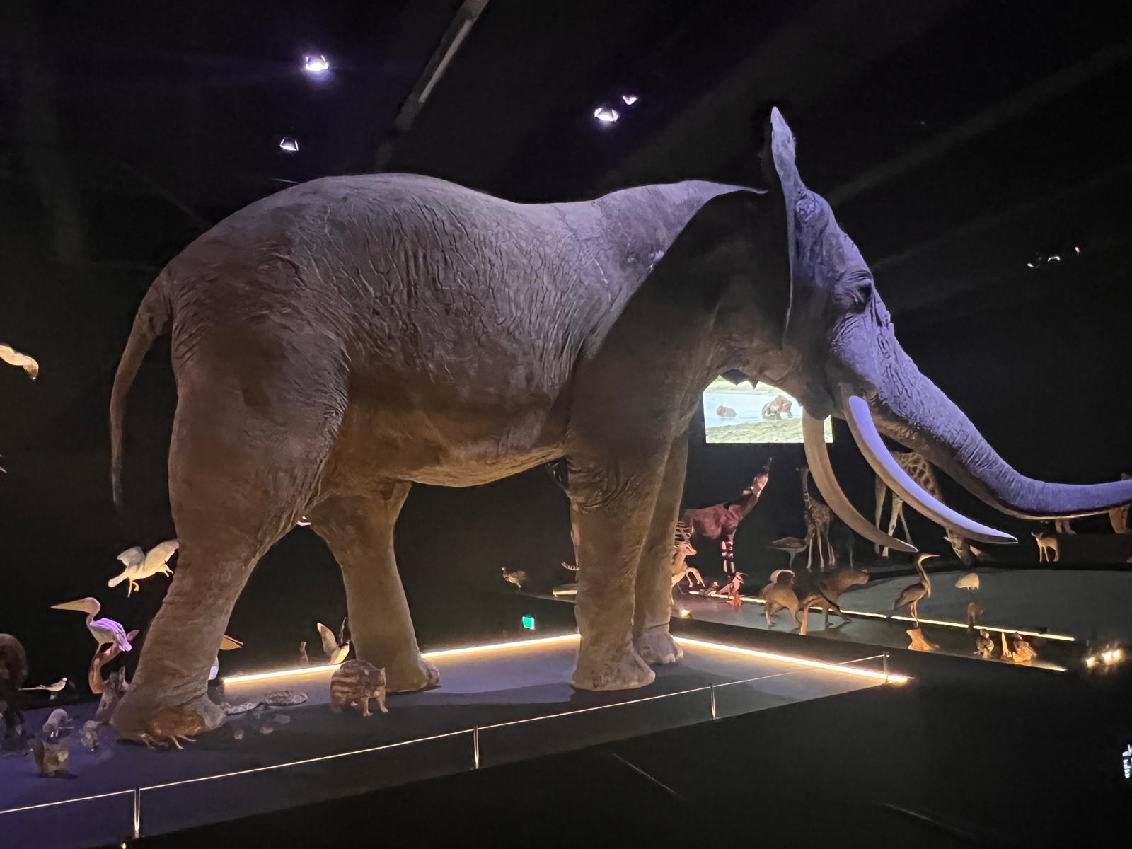 Foto bij review van Naturalis Biodiversity Center