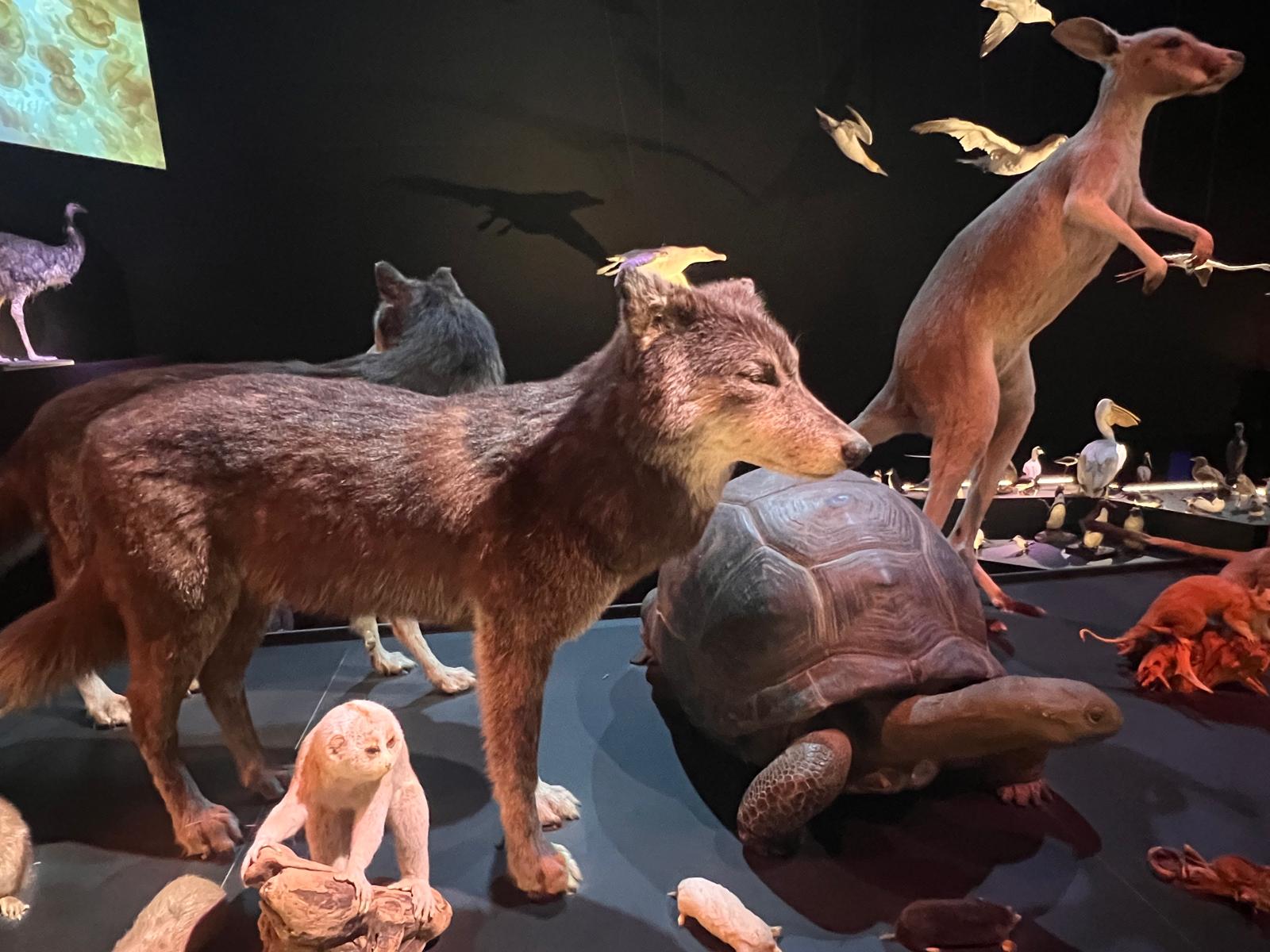 Foto bij review van Naturalis Biodiversity Center