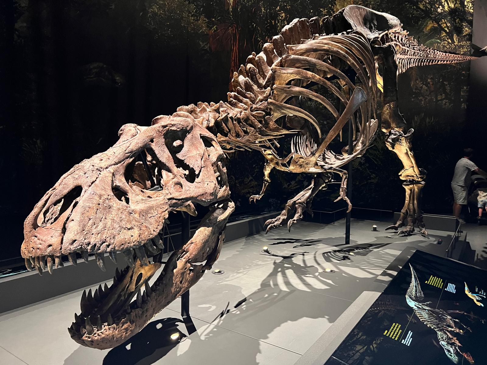 Foto bij review van Naturalis Biodiversity Center